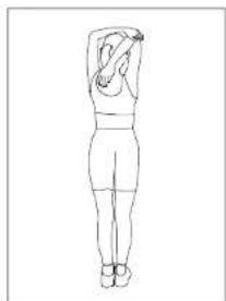 BodyCraft VR500 - STRETCHING - 4