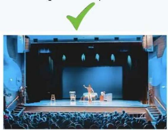 Stage performance with audience and a green checkmark overlay (no readable text or symbols)