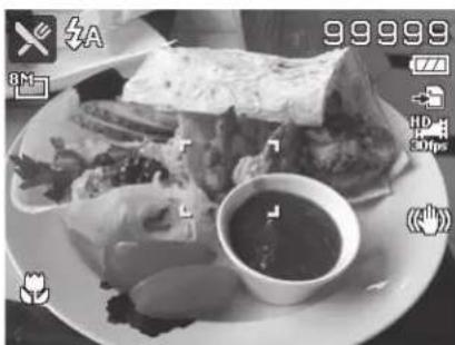 MINOLTA MN12Z - Using Food Mode - 1