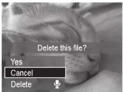 Delete this file? Yes Cancel Delete