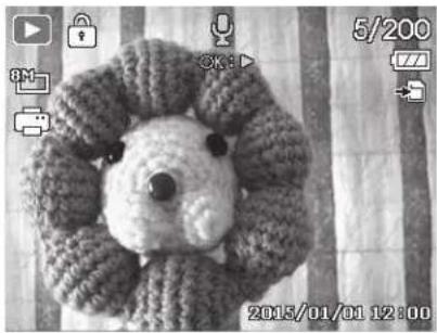 MINOLTA MN12Z - Playing Voice Memo - 2