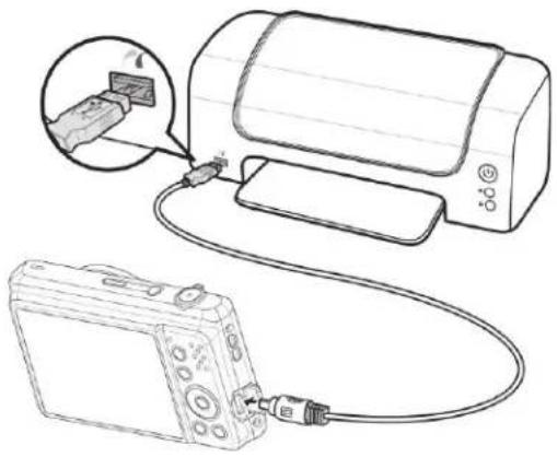 MINOLTA MN12Z - Connecting the Camera to a Printer - 1