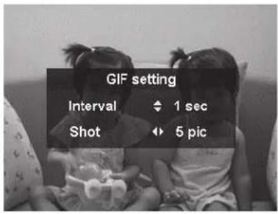 GIF setting Interval 1 sec Shot 5 pic