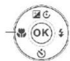 MINOLTA MN12Z - Focus/Left button - 1