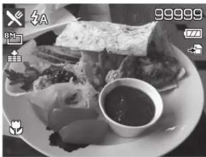 MINOLTA MN22Z - Using Food Mode - 1