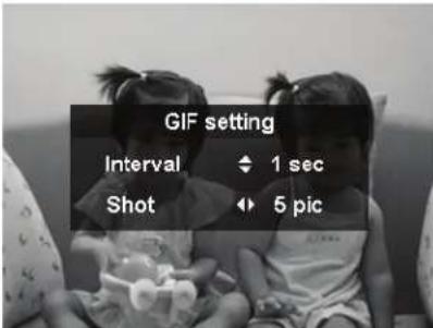 GIF setting Interval 1 sec Shot 5 pic