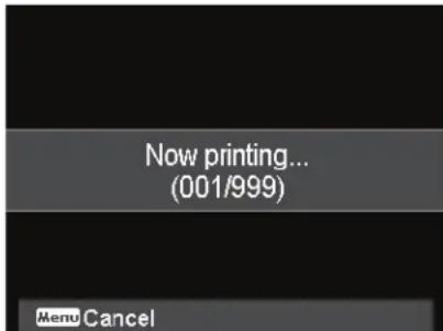 Now printing... (001/999) Menu Cancel