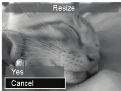 Resize Yes Cancel