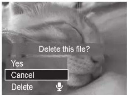 Delete this file? Yes Cancel Delete