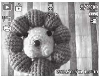 MINOLTA MN5Z - Playing Voice Memo - 1