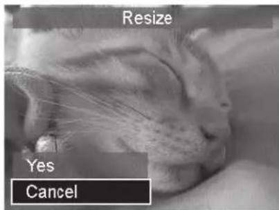 Resize Yes Cancel