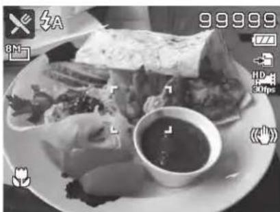 MINOLTA MN5Z - Using Food Mode - 1