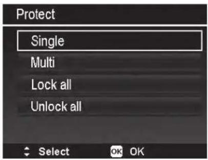 Protect Single Multi Lock all Unlock all Select OK OK