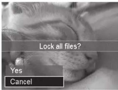 Lock all files? Yes Cancel