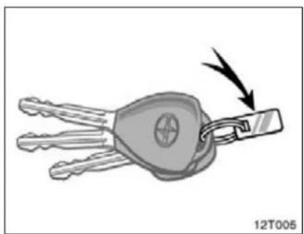 Illustration of a key being inserted into a car key (no text or symbols present)
