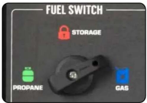 FUEL SWITCH STORAGE PROpane GAS