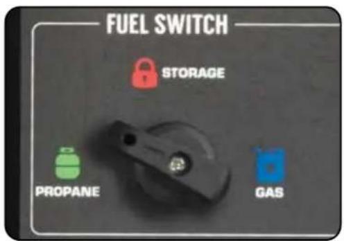 FUEL SWITCH STORAGE PROpane GAS