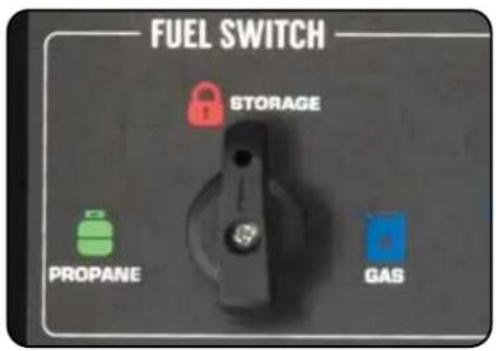 FUEL SWITCH STORAGE PROpane GAS
