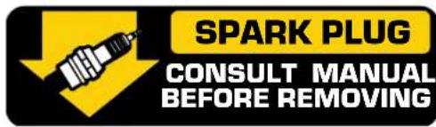 SPARK PLUG CONSULT MANUAL BEFORE REMOVING