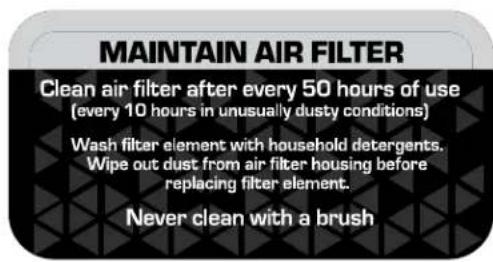 MAINTAIN AIR FILTER Clean air filter after every 50 hours of use (every 10 hours in unusually dusty conditions) Wash filter element with household detergents. Wipe out dust from air filter housing before replacing filter element. Never clean with a brush