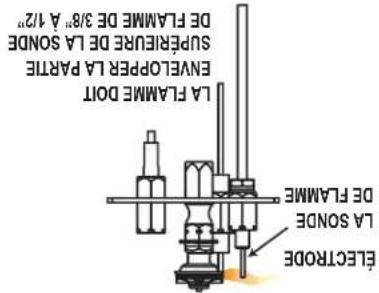 LA FLAMME DOT ENVELOPER LA PARTIE SUPREURE DE LA SOUND DE FLAMME DE 3/8" A 1/2" LA SOUND DE FLAMME ELECTRODE