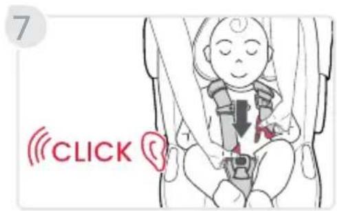 7 CLICK
