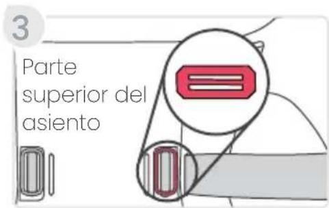 3 Parte superior del asiento
