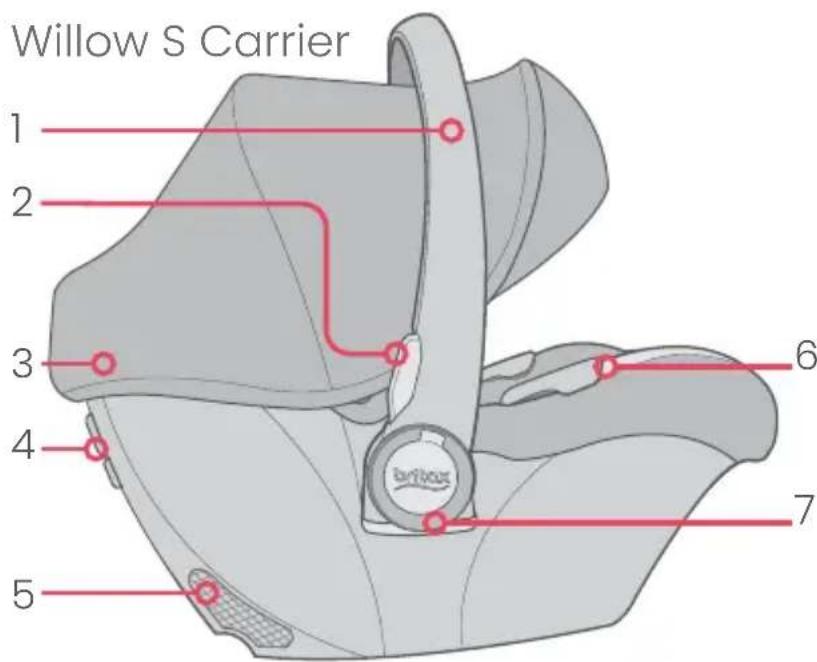 Willow S Carrier 1 2 3 4 5 6 7
