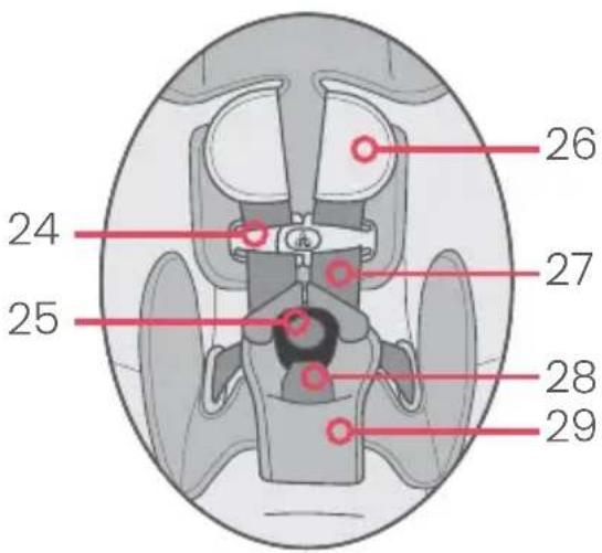 24 25 26 27 28 29
