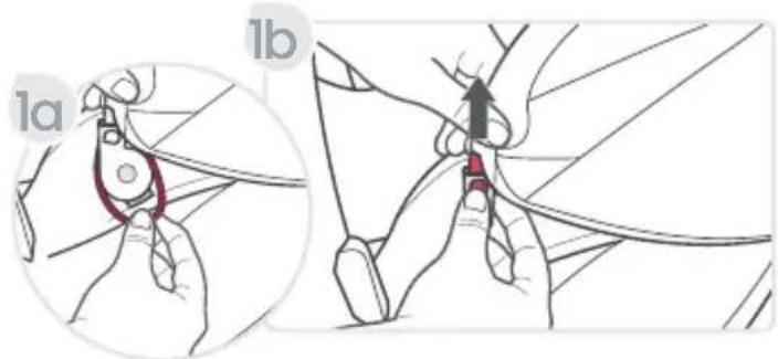 1a 1b