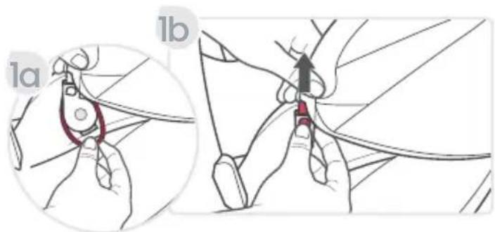 1a 1b