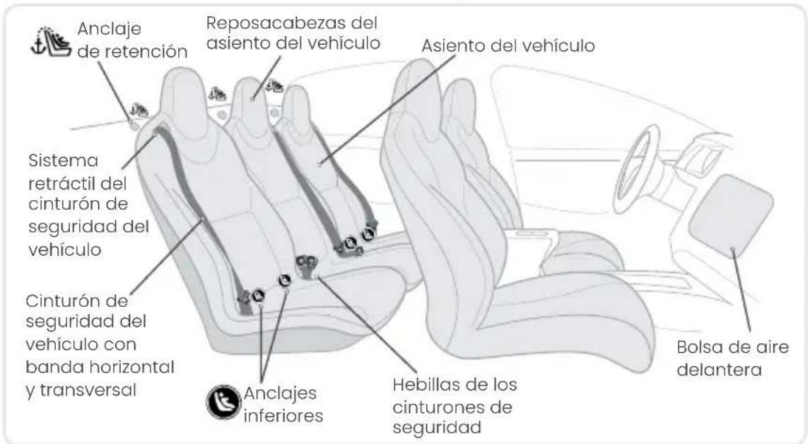 Anclaje de retención Reposacabezas del asiento del vehículo Asiento del vehículo Sistema retráctil del cinturón de seguridad del vehículo Cinturón de seguridad del vehículo con banda horizontal y transversal Anclajes inferiores Hebillas de los cinturones de seguridad Bolsa de aire delantera