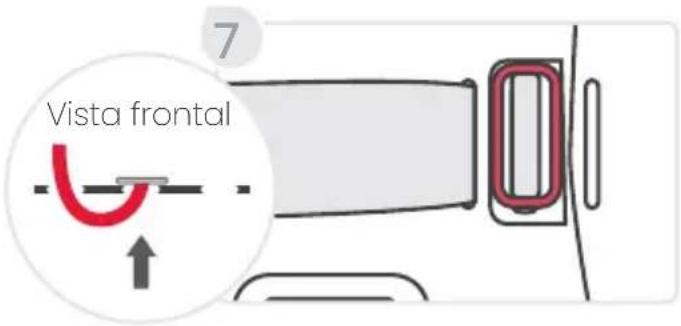 7 Vista frontal
