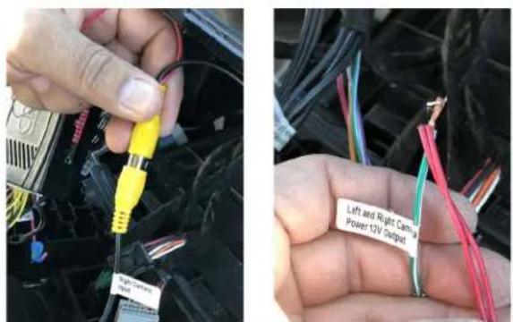 Right Cable Left and Right Cable Power tQV Output