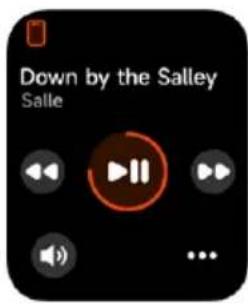 Down by the Salley Salle