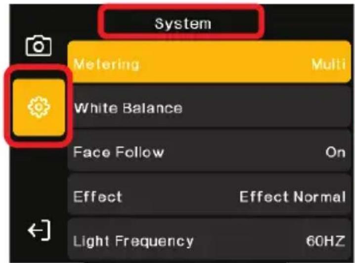 System Metering Multi White Balance Face Follow On Effect Effect Normal Light Frequency 60HZ