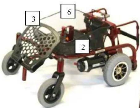 2 3 6
