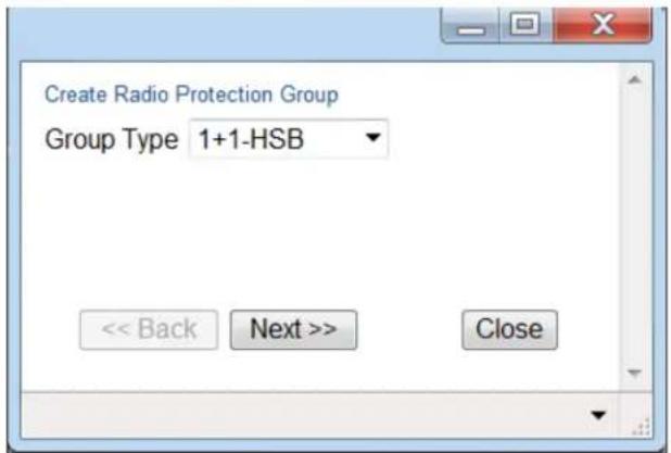 Create Radio Protection Group Group Type 1+1-HSB << Back Next >> Close