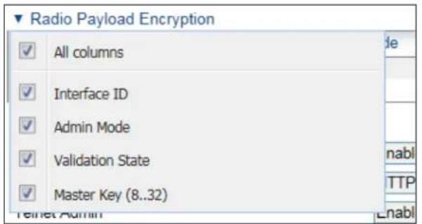 Radio Payload Encryption ✓ All columns ✓ Interface ID ✓ Admin Mode ✓ Validation State ✓ Master Key (8..32) Delnet Admin de nabl TTP Enabl