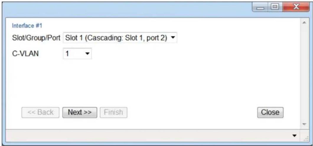Interface #1 Slot/Group/Port Slot 1 (Cascading: Slot 1, port 2) C-VLAN 1 << Back Next >> Finish Close