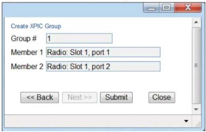 Create XPIC Group Group # 1 Member 1 Radio: Slot 1, port 1 Member 2 Radio: Slot 1, port 2 << Back Next >> Submit Close