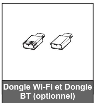 Dongle Wi-Fi et Dongle BT (optionnel)