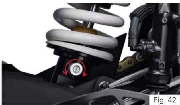 TVS Apache RR 310 (2024) - Rebound damping\* - 1