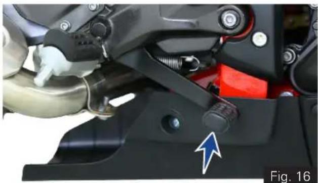 TVS Apache RR 310 (2024) - Rear Brake Pedal (ref. Fig. 16) - 1