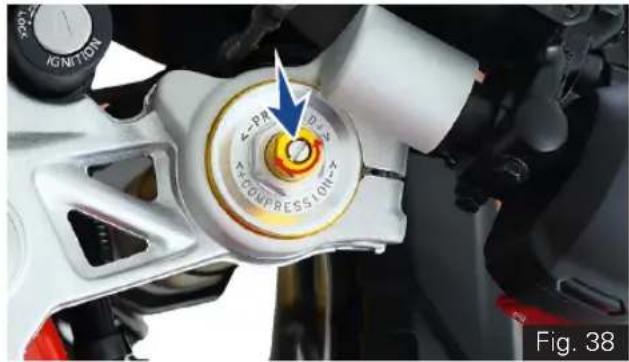 TVS Apache RR 310 (2024) - Compression damping force - 1