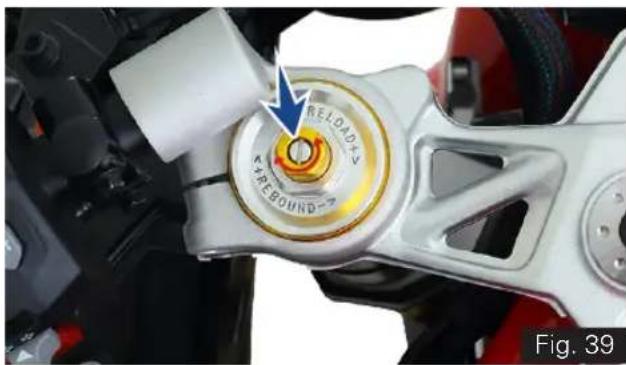 TVS Apache RR 310 (2024) - Rebound damping force - 1