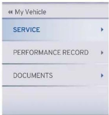 My Vehicle SERVICE PERFORMANCE RECORD DOCUMENTS