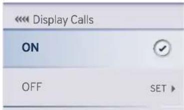 << Display Calls ON OFF SET