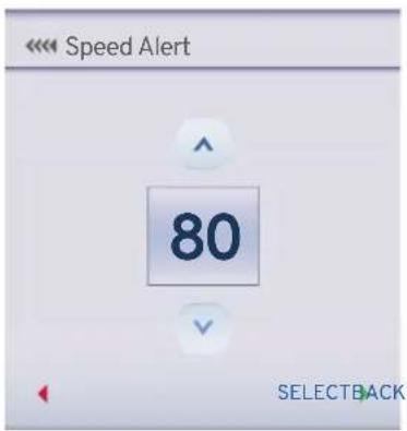 Speed Alert 80 SELECTBACK