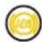 TVS Apache RR 310 (2024) - Warning and indicator lights (ref. Fig. 20) - 9